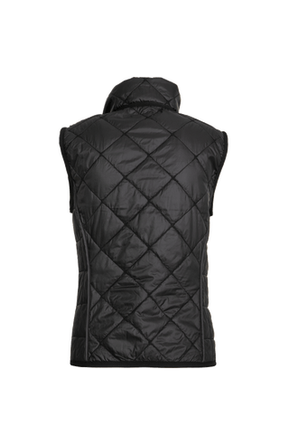 Rückansicht der Damen-Quiltweste, Modell TRACY-QL, in Schwarz. Die ärmellose Weste aus leichtem, gestepptem Material hat eine sportlich-elegante Passform. Der Stehkragen schützt vor Wind und sorgt für einen modernen Look. Die Weste verfügt über seitliche Eingrifftaschen und eine feine Steppung, die für Wärme und Atmungsaktivität sorgt. Ideal für die Übergangszeiten Frühling und Sommer, kombiniert sie Funktionalität mit einem stylischen Outdoor-Design