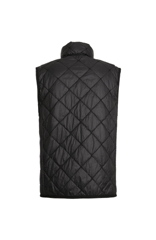 Rückansicht der Herren-Quiltweste „Henri-QL“ von Frauenschuh in Black (Schwarz), hochwertiges, leicht glänzendes Nylon mit markanter Rautensteppung; ausgestattet mit Stehkragen, durchgehendem Zwei-Wege-Reißverschluss und verschließbaren Seitentaschen, die sportlich-elegante Weste überzeugt mit klarer Linienführung, funktionalem Design und leicht taillierter Passform – ideal für Frühling und Sommer als stilvolle Ergänzung zur Herren-Garderobe