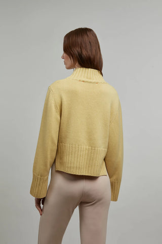 Kaschmir Strickpullover mit Rollkragen - Alva-WS